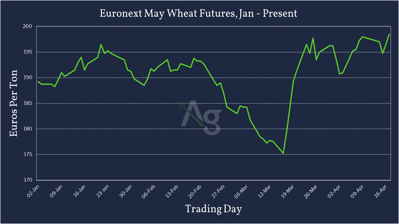 Euronext May Wheat Futures - Jan - Present