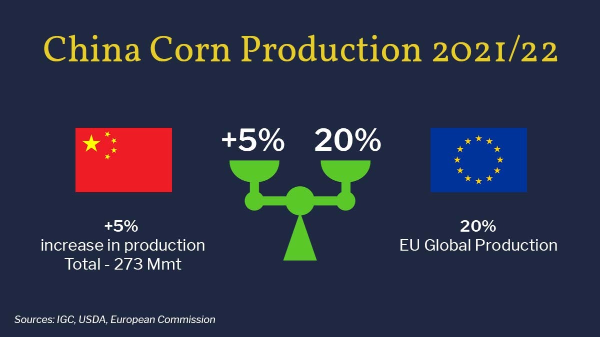 China Corn Production 2021/22