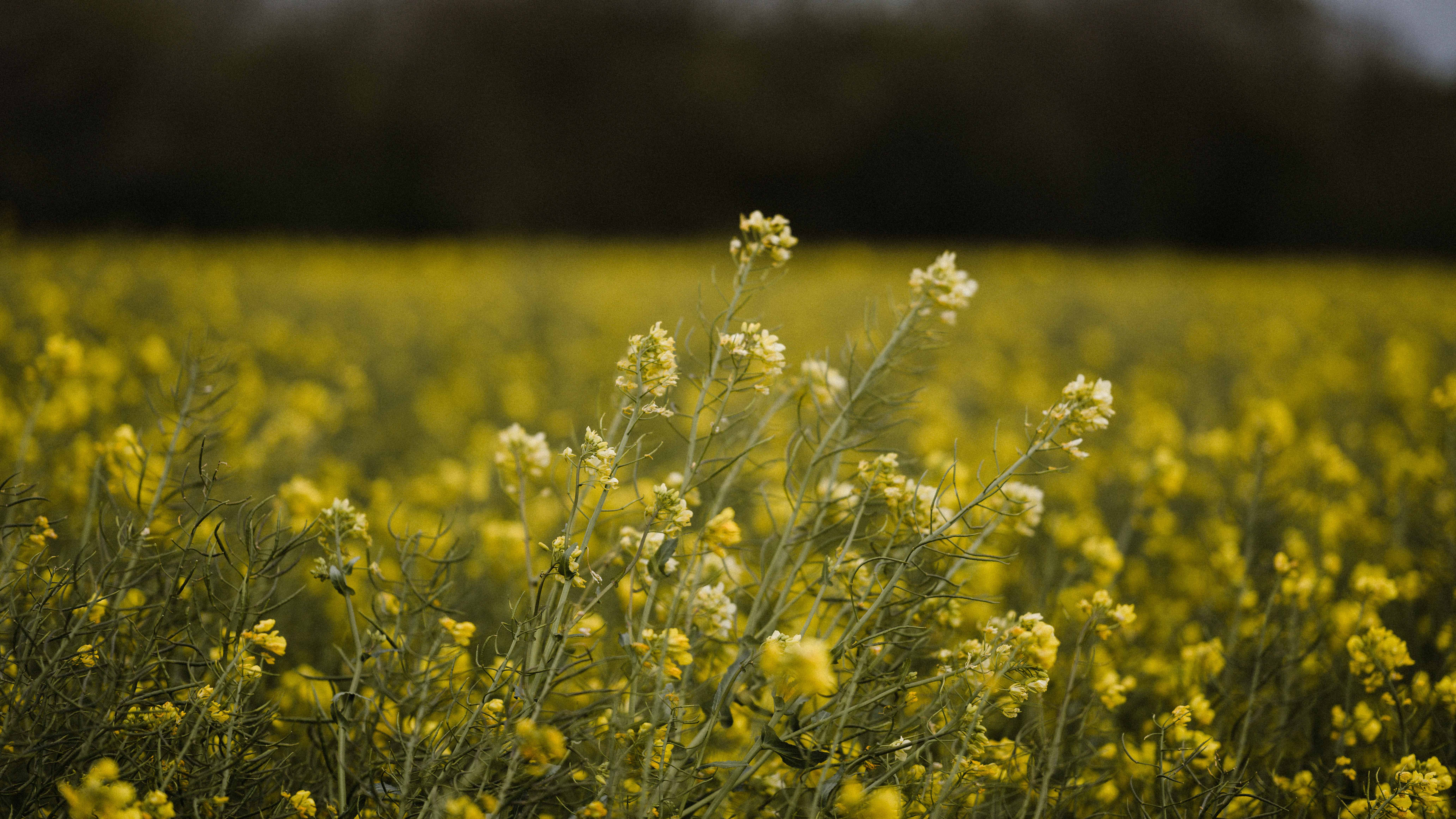 Brazil: Already Exported over 37.50 Mln T of Soybeans… | Report