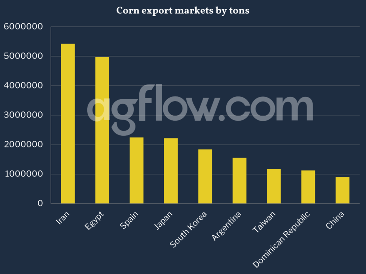 Beneficial Year for the Brazilian Corn Crop