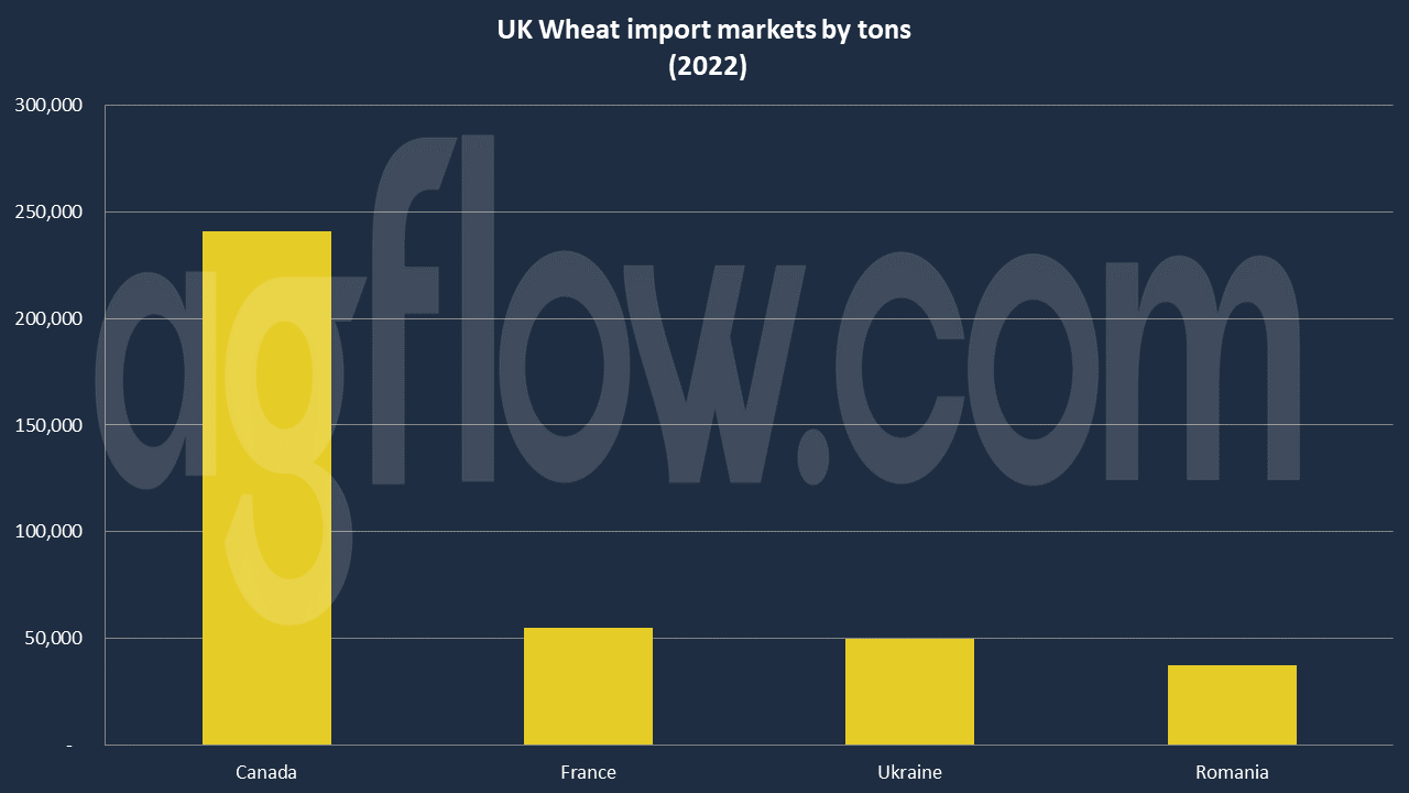UK Feed Wheat: A Large Exportable Surplus