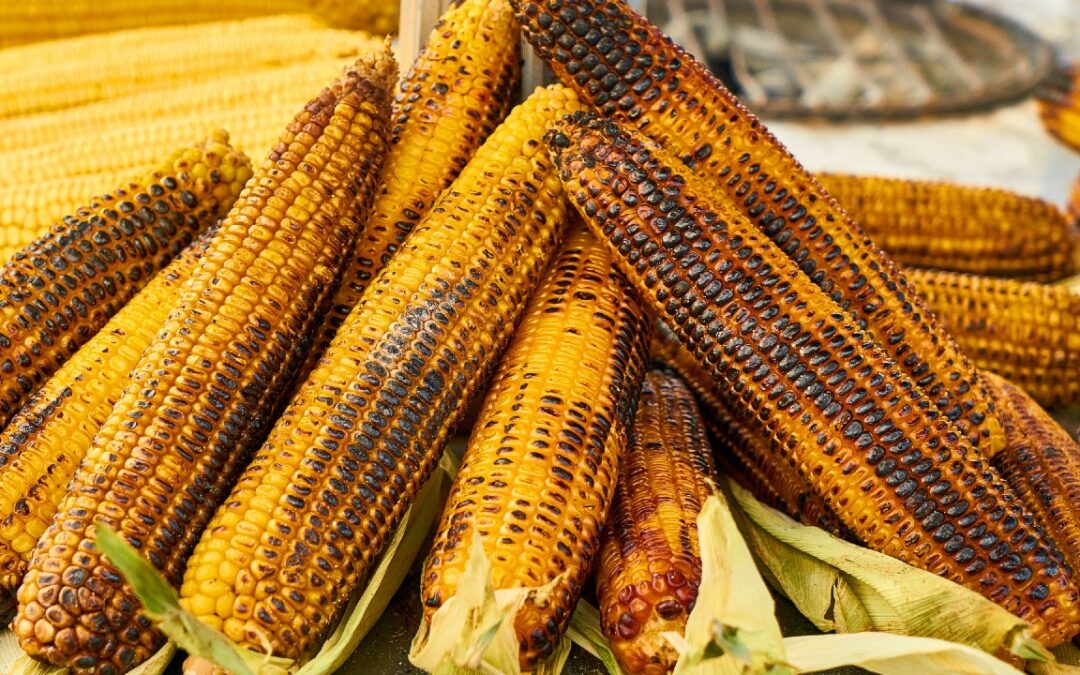 Spain Sources Large Amounts of Ukrainian Corn