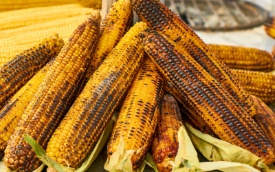 Mexico: The GE Corn Control to Impact White Corn Import