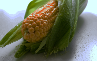 Peru Corn: Low Yields Hinder Competition Against Suppliers