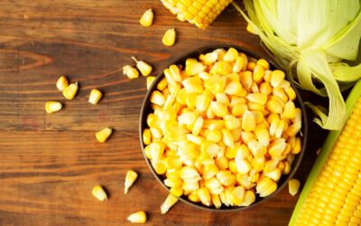 More Indonesian Firms Are Joining the Corn Seed Industry