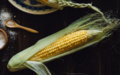 South Korea Diversifies Its Corn Suppliers