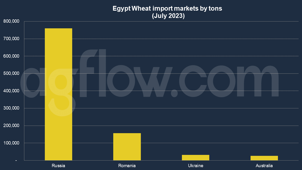 Egypt Is Russian Wheat Ally? 