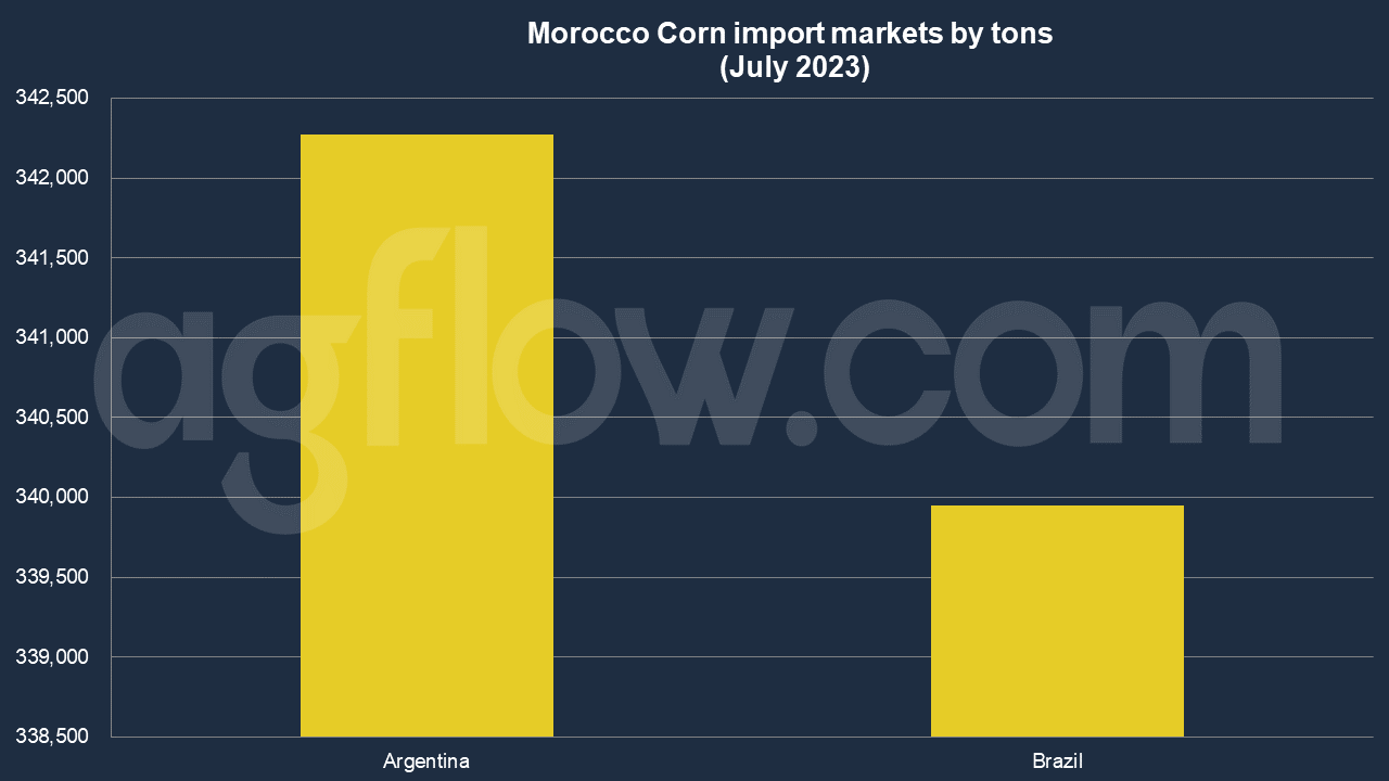 Morocco Corn Imports: Argentina and Brazil Are on the Same Stage 