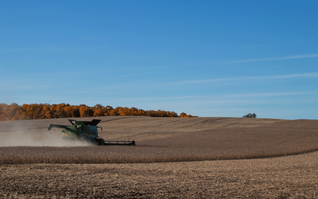 Uruguay’s Soybean Harvest Drops Big