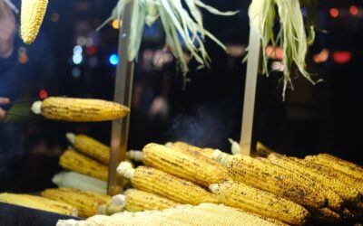 Iraq’s Corn Imports: Argentina Heads