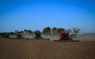 Mauritius Sources Soybean Meal Mostly from Latin America