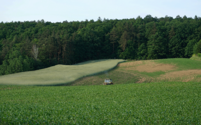 Soybean Production Spreads in the East of Georgia