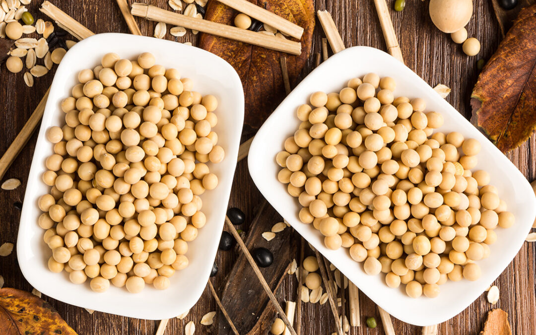 China Becomes Colombia’s Soybean Trade Partner